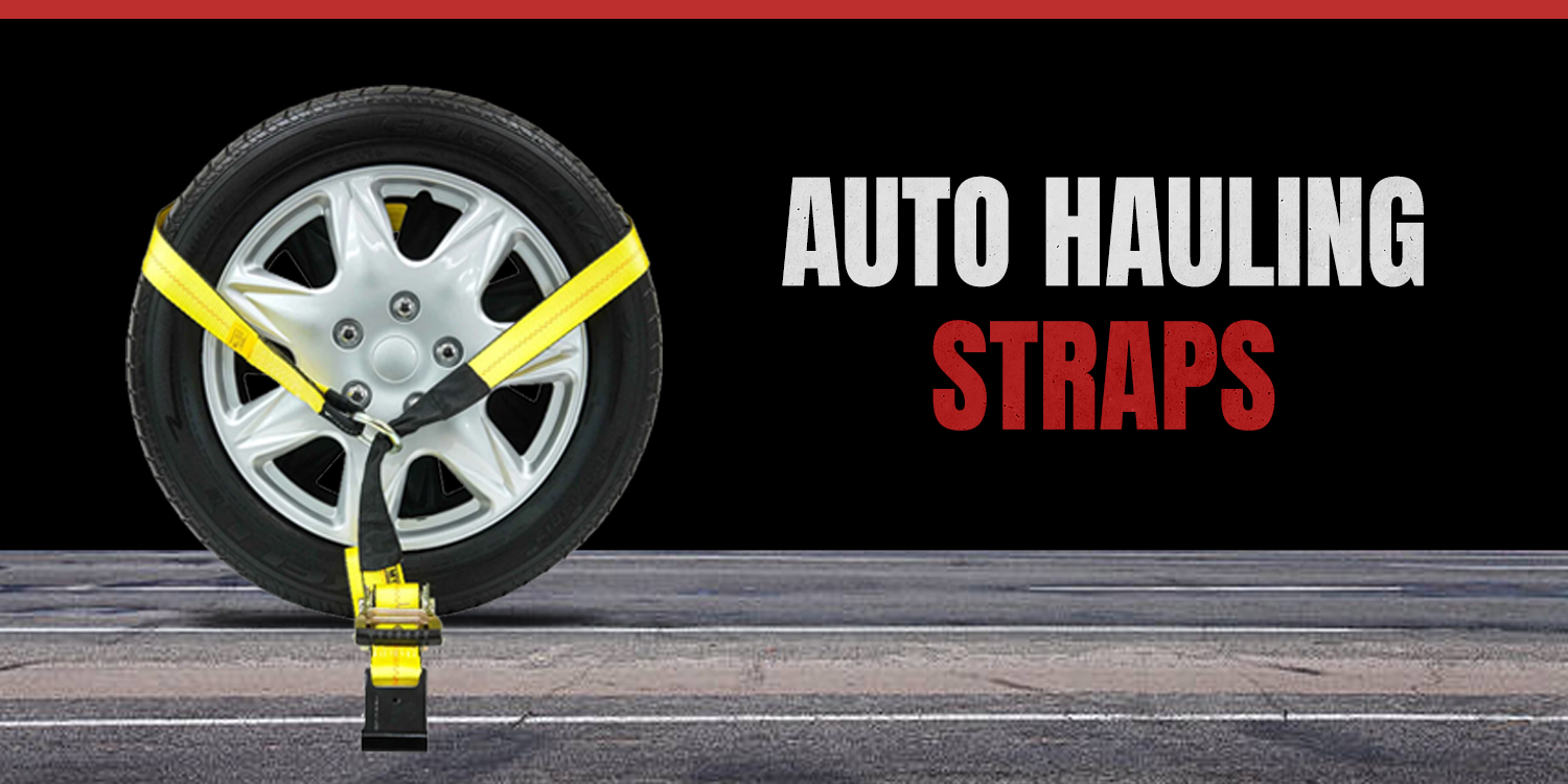 Master the Road with Mytee